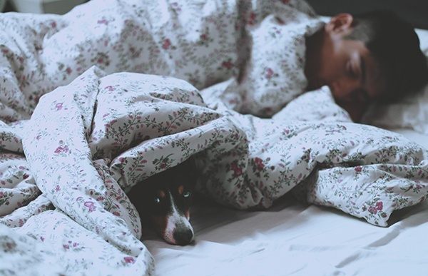 Man and dog sleep under covers in a cool bedroom