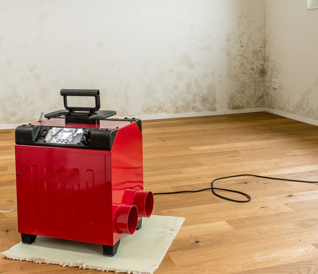 Red dehumidifier works to eliminate the mold and mildew caused by excess moisture