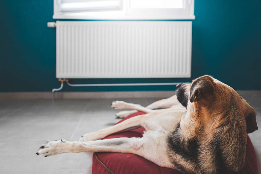 Some noise from your boiler is normal. Excessive noises like banging, gurgling, or whistling can indicate a problem called "kettling." When this happens, it's time to call an HVAC expert or boiler engineer.