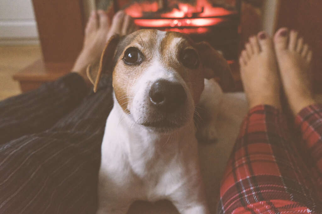 It's very important to know that your heating system is ready to go when the cold weather arrives. Here's a list of signs yours might need help.