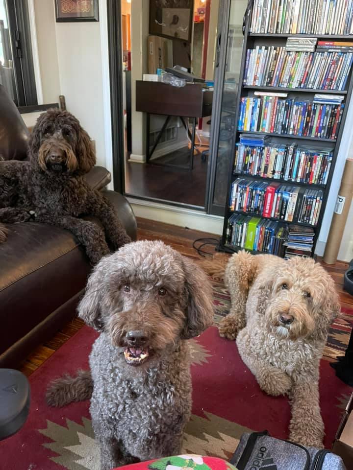 Mark sits with his dogs at his feet
