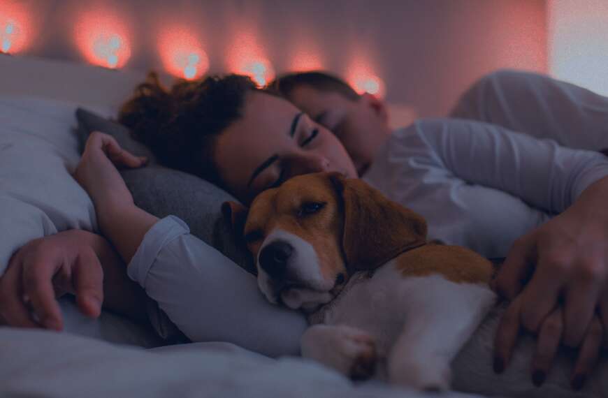 Installing a smart thermostat is a fantastic way to reduce the amount of energy your home is using. Setting up schedules that heat or cool the home depending one when you are there and where you are in the house can maximize green and healthy living.