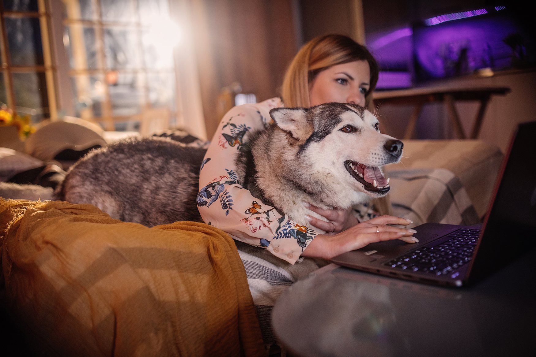 All American Heating strives to be the best by doing the best work out there. And we want to know how well you think we did - or not. So leave us a review here, or check out the ones from past customers. Your input is vital to our business and we appreciate it, and you!