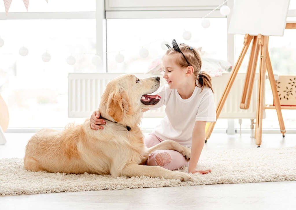 Make sure your home is as safe and clean as it can be for the ones you love. Let All American Heating perform a Home Energy Audit and recommend ways to make your home more energy efficient.